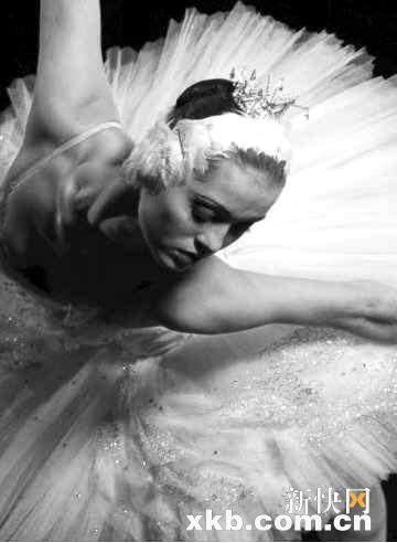 看!俄罗斯“天鹅”